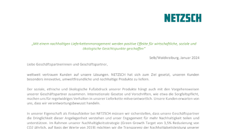 Netzsch Group logo